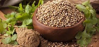 Kasbra -سودانيه